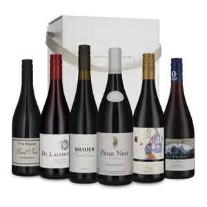 Pinot Noir til under 100 kr. (6 flasker)
