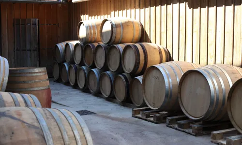 C - IMG_8381_Edit.jpg