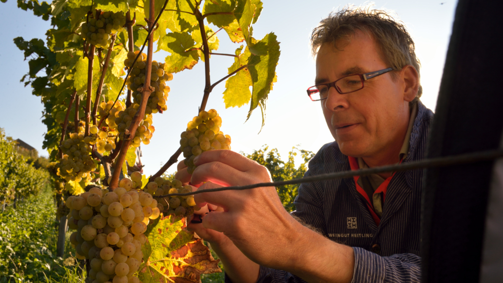 H - Weingut - wide - 5_Edit.jpg