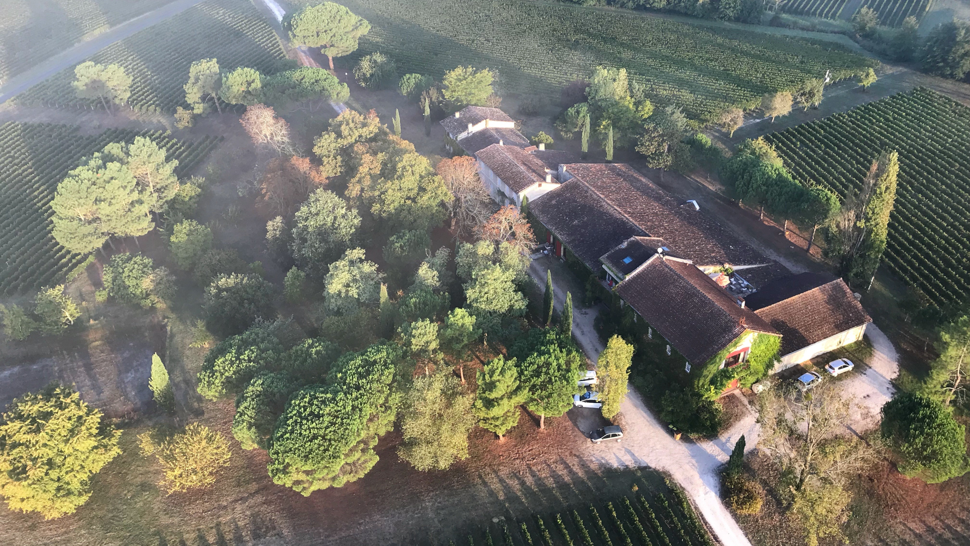 H-PHOTO VIGNOBLE4_Edit.jpg