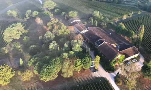 H-PHOTO VIGNOBLE4_Edit.jpg