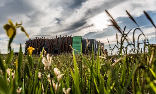 H - Menade - Wide - 5_Edit.jpg