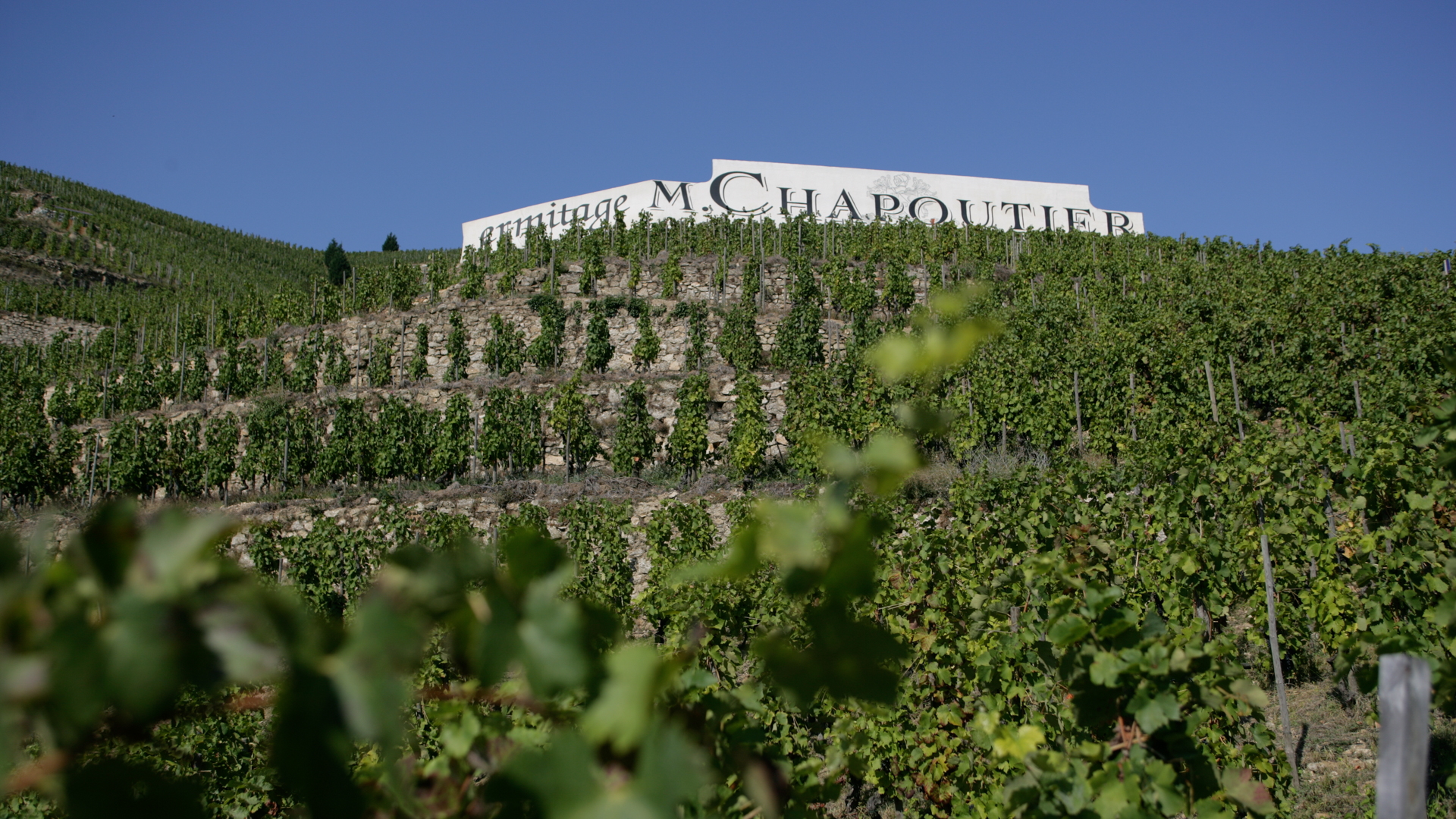 H - M_Chapoutier wide 04.jpg