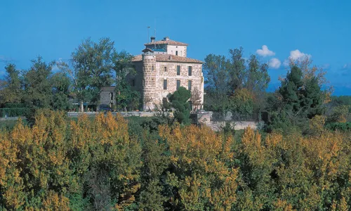 H - Raimat - wide - 2_Edit.jpg