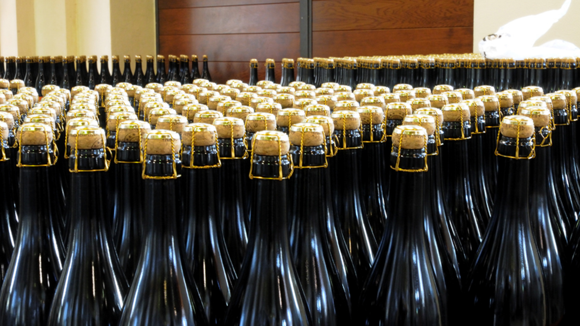 H - Sorelle Bronca - wide - 2_Edit.jpg