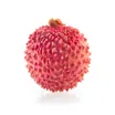 Litchi