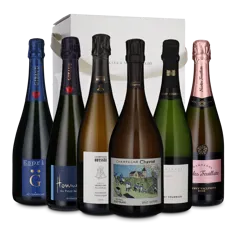 Champagnen til Nytårsaften 2025 (6 flasker)