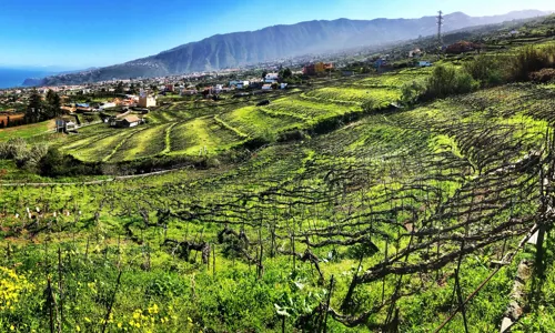 H - IMG_5979_Edit.jpg