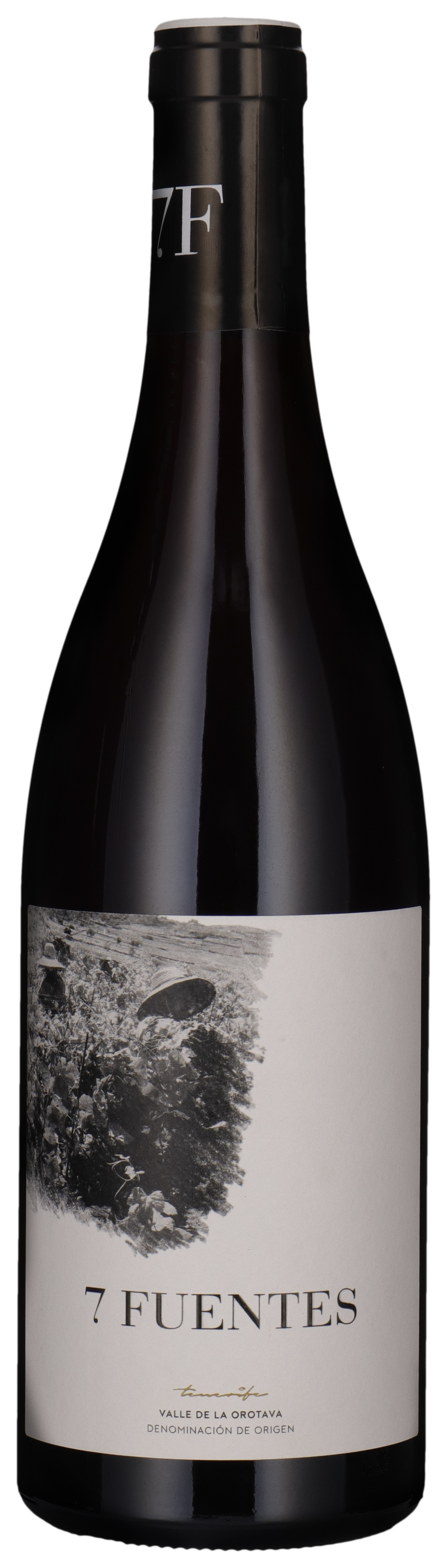 7 Fuentes 2021
