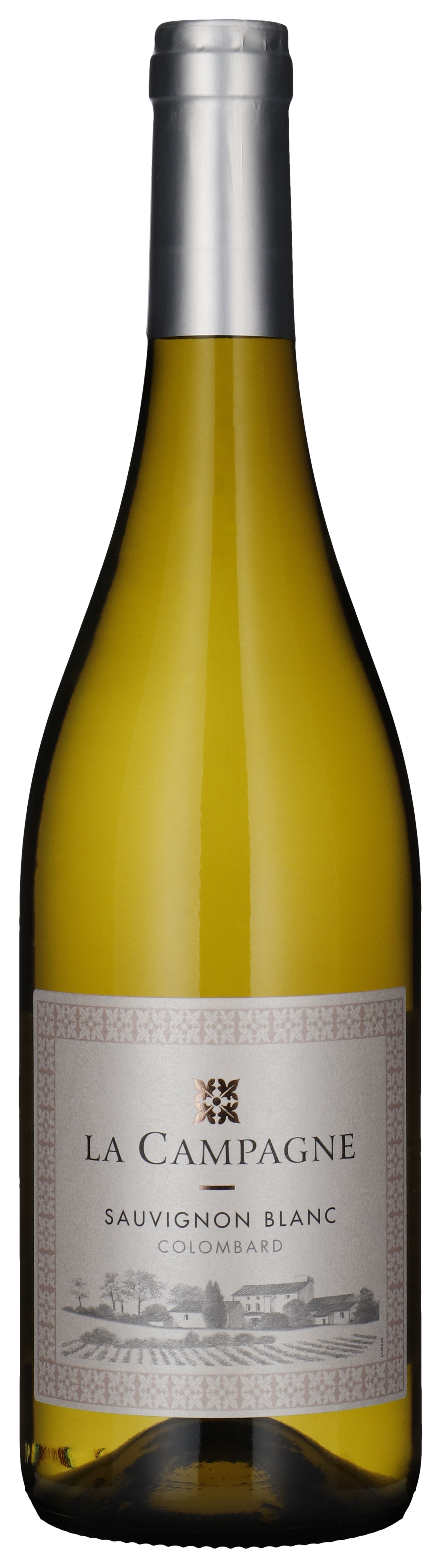 Sauvignon Blanc 2025