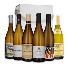 Bourgogne Aligoté (6 flasker)