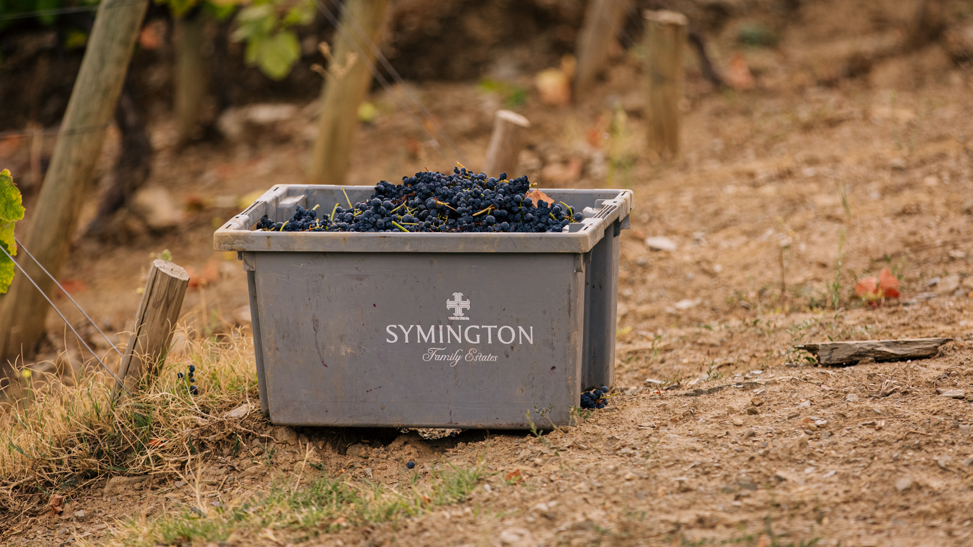 H - Prats & Symington - wide - 6_Edit.jpg