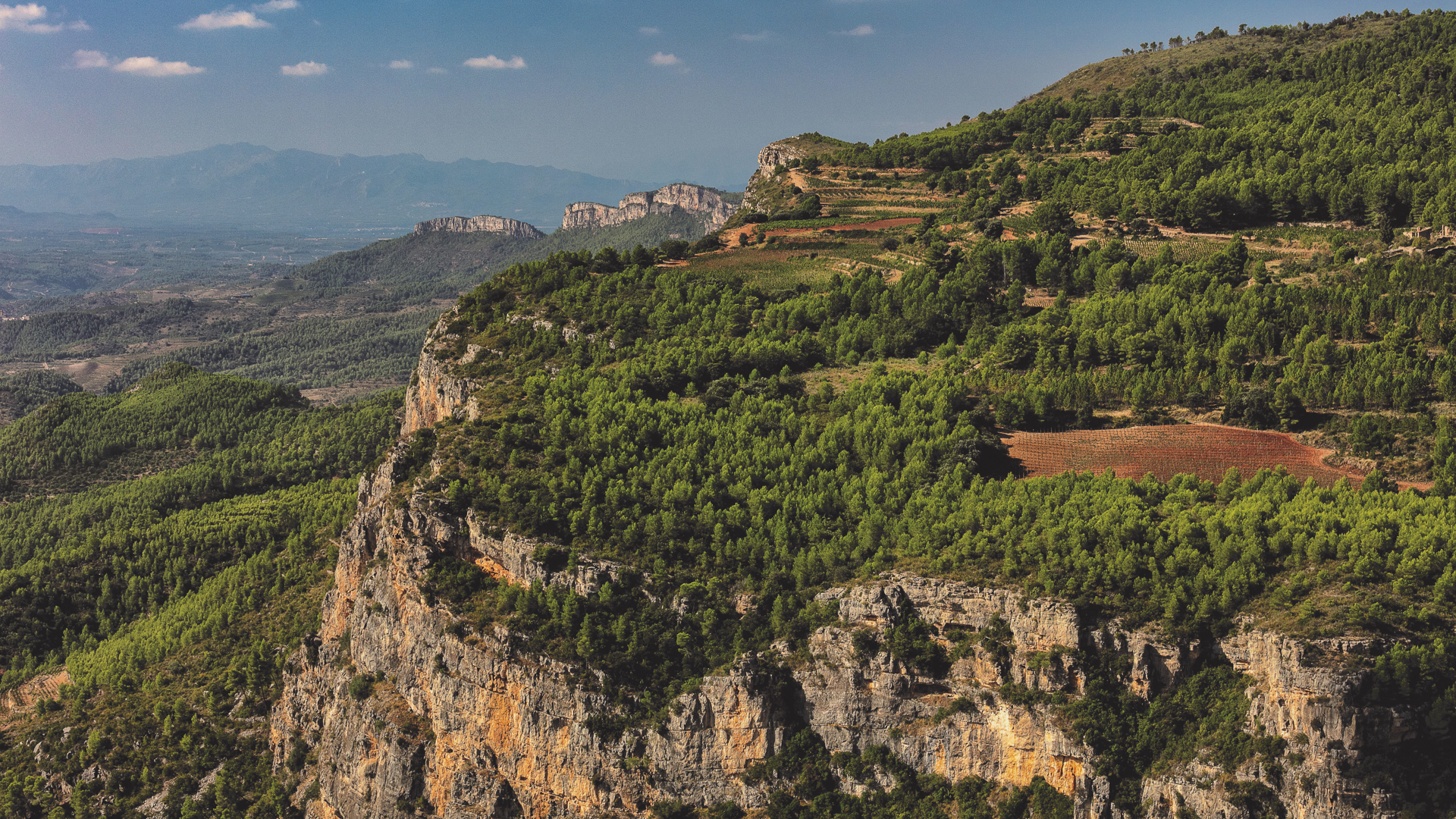 H - Terroir-al-Limit-wide-10_Edit.jpg