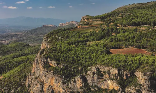 H - Terroir-al-Limit-wide-10_Edit.jpg