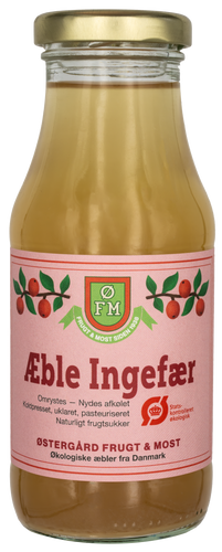 Æble ingefær (28x25cl) ØKO