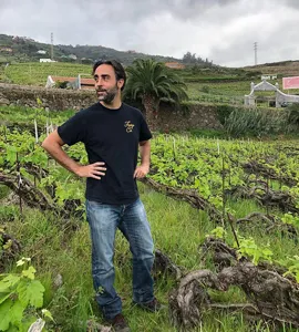 Vulkansk vin fra Tenerife