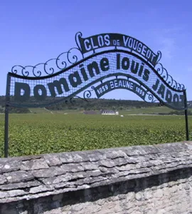 Maison Louis Jadot 24/3