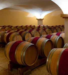 Forårets store Fine Wine Smagning