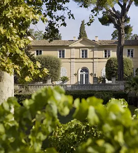 Rundt om Frankrigs vinregioner; fra Champagne til Châteauneuf-du-Pape