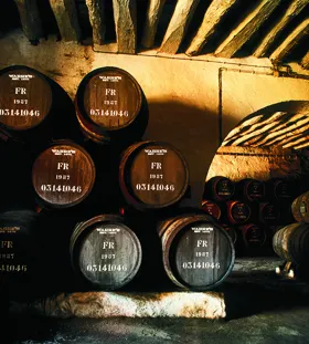 Portvinssmagning med Warre's i Aarhus