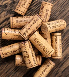 Bourgogne - Fra syd til nord i Odense 17/1-2026