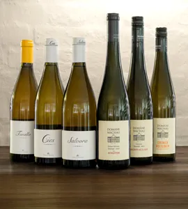 Grüner Veltliner & Albarino smagning