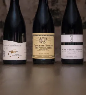 Gevrey Chambertin vs Chambolle Musigny vs Morey Saint Denis