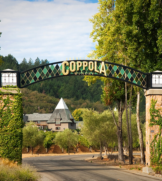 Andrea Card: winemaker hos Francis Ford Coppola Winery