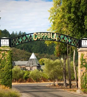 Andrea Card: winemaker hos Francis Ford Coppola Winery