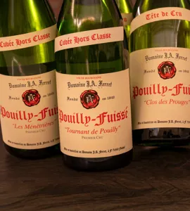 Bourgognesmagning med Clément Robinet fra J.A. Ferret