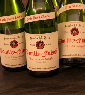 Bourgognesmagning med Clément Robinet fra J.A. Ferret