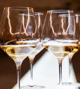 Hvid Bourgognesmagning med Maison Louis Jadot