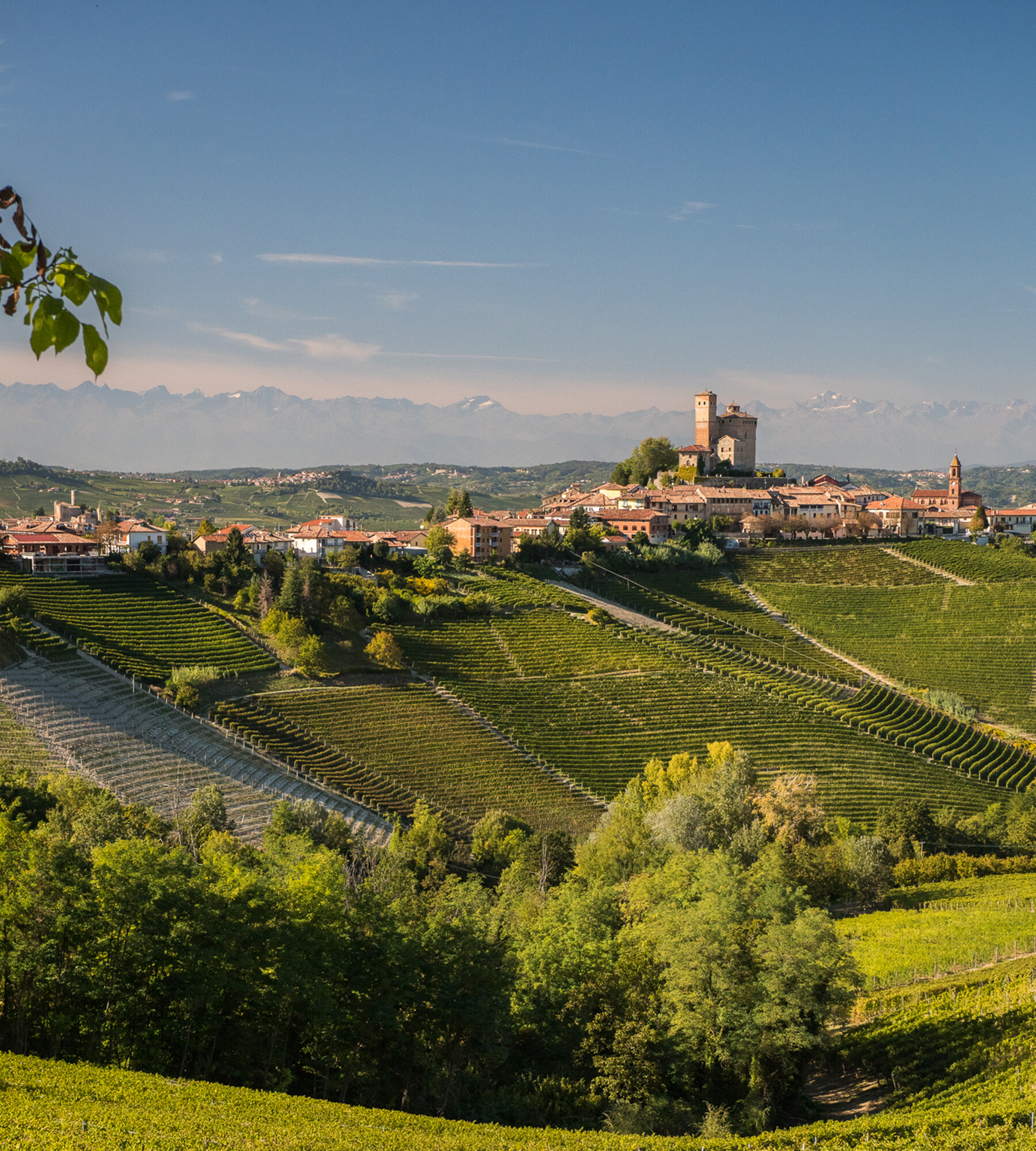 Piemonte Smagning