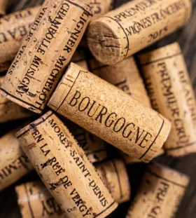 Bourgognesmagning med Maison Louis Jadot
