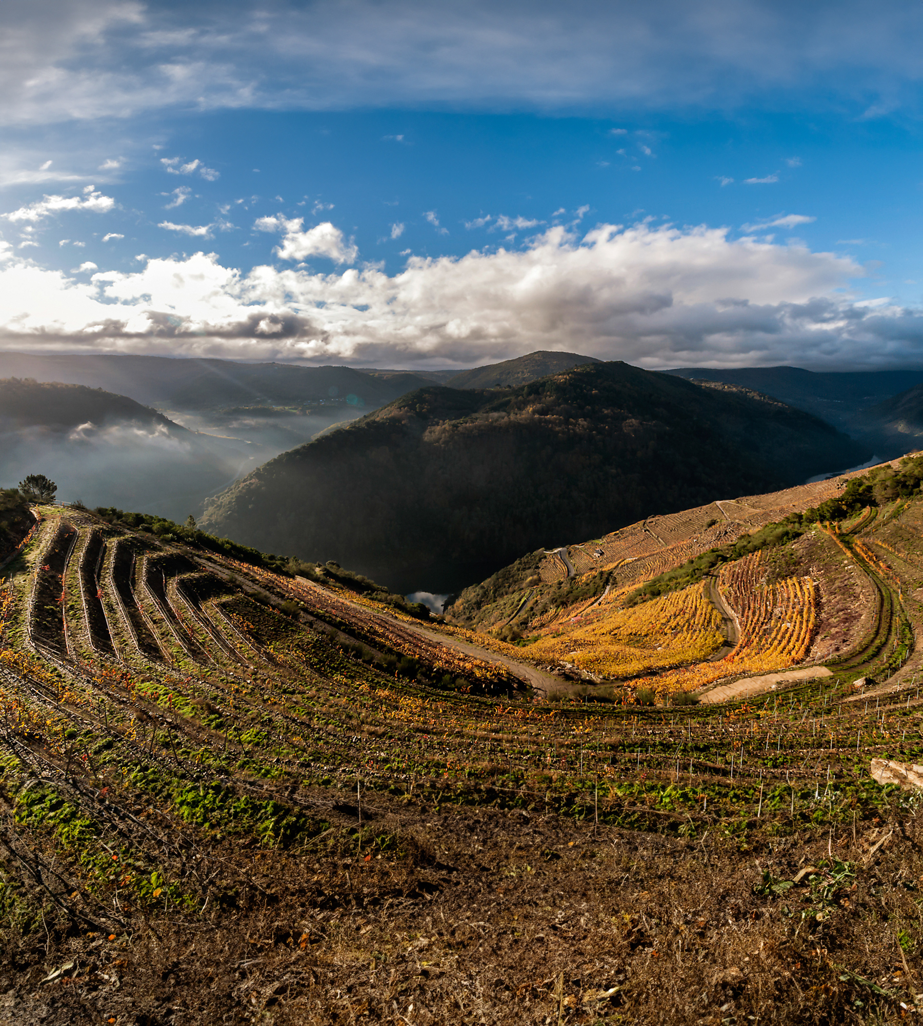 Vinene fra det nordlige Spanien 23/4 i København