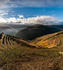Vinene fra det nordlige Spanien 23/4 i Aarhus