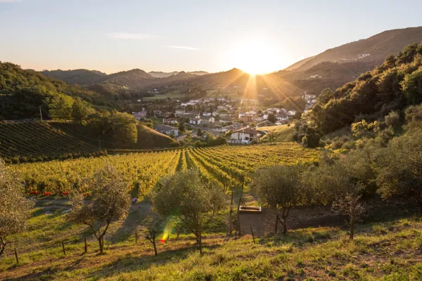 Vignaioli Contrà Soarda