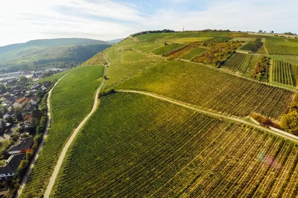 Weingut Riffel