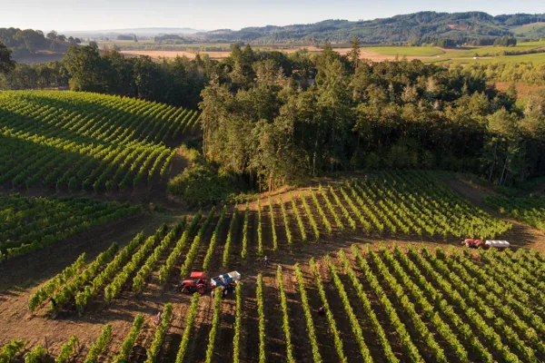 Domaine Prieur-Brunet