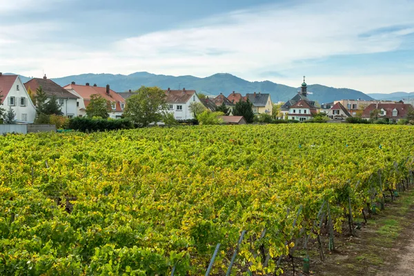 Clos Saint-Jacques