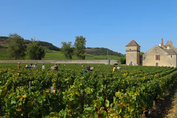 Domaine Clos du Moulin aux Moines