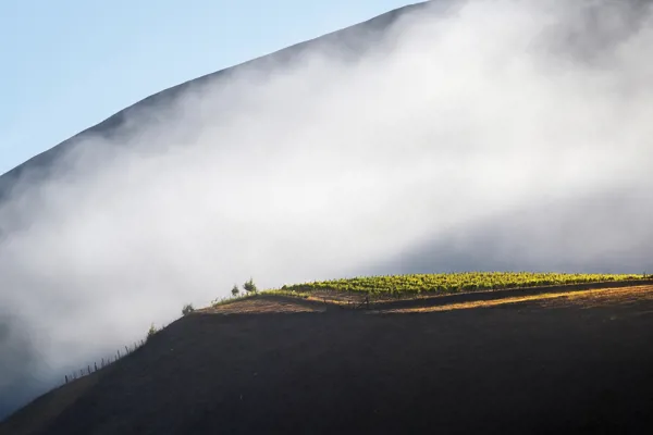 Au Bon Climat