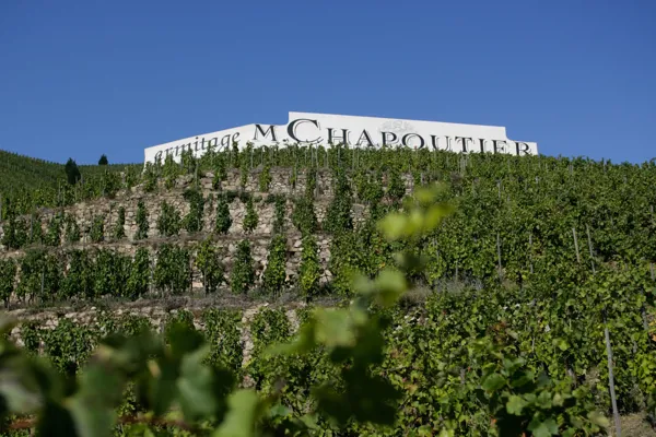 Tournon M. Chapoutier